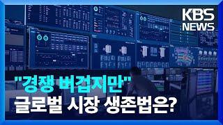 ‘메이드인코리아’ AI, 글로벌 시장 생존 조건은? / KBS  2024.09.04.