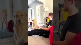 #funny #animlasfunny #funnypets #pets #funnyanimls #shortvideo #cutedog #shorts #doggys