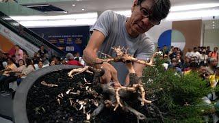 Koji Hiramatsu Bonsai demo