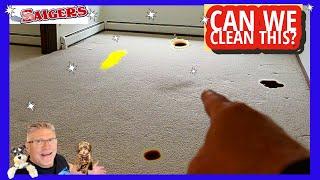 How Clean is this Carpet? We Really Make a Surprising Difference!