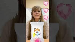 OMG! Cherubim Holds Shiba Inu In Their Hands 