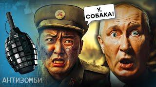 Це ВИБУХ мозку: На РосТВ ділять Польщу та Україну, а вояки КНДР ловлять собак | Антизомбі