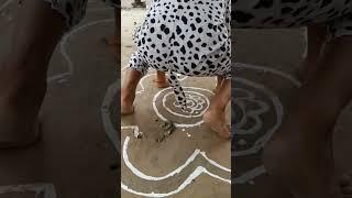 Rangoli Me Kutta Haag Diya 🪔 Happy Diwali #funny #shorts #viral