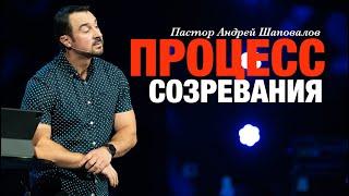 Пастор Андрей Шаповалов «Процесс созревания»