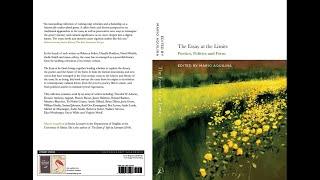 The Essay at the Limits Book Overview