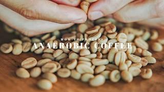 How to Process Anaerobic Coffee At Home