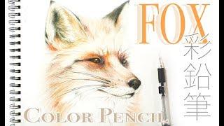 Drawing a Fox - How to draw a Fox with Color Pencils - Fox sketch 彩色鉛筆畫狐狸 彩鉛 狐狸素描 Drawing Tutorial