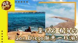 San Diego 网红薯片岩| La Jolla Cove看海豹| 圣地亚哥一日游！《周末去哪儿》第16期 2021.01.16