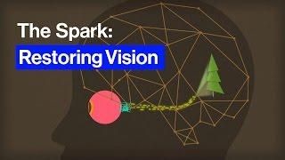 The Technology That Could Make Blind People See Again