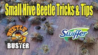 Small Hive Beetle Tips & Tricks / Hive Beetle Management
