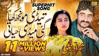 Hijran Di Mari Hey Chup Chupati - SHAHZAD ZAKHMI (Official Video Song) - Latest Saraiki Song - Rohi