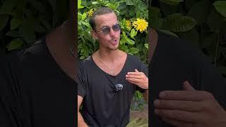 Если бы ТРЕНЕР объяснял как ФИЛОСОФ