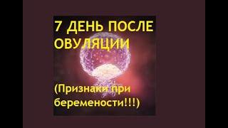 7 ДПО. Ощущения на 7 день после овуляции при беременности. Что происходит с зародышем. Имплантация