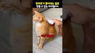 반려묘가 뿜어대는 털로 만들 수 있는 아이템ㅋㅋ