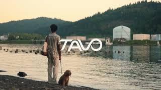 Tavo Pets | A New Standard in Pet Protection