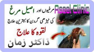 Aseel Murga ke Laqwa ka ilaj/Aseel Clinic