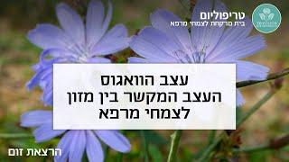 עצב הוואגוס כעצב המקשר בין המזון לצמחי המרפא