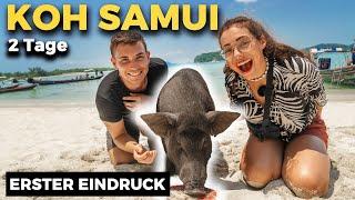 So ABWECHSLUNGSREICH ist KOH SAMUI (+6 Highlights)