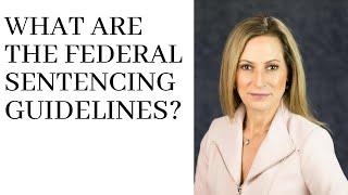 What are the Federal Sentencing Guidelines?