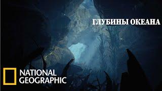 С точки зрения науки  Морская бездна  Документальный фильм National Geographic 2021