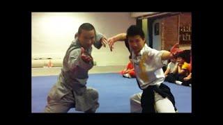 Sweden Shaolin Kungfu School