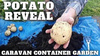 Container Potatoes Bigger & Better