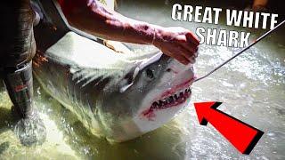 We Caught A GREAT WHITE SHARK From The BEACH