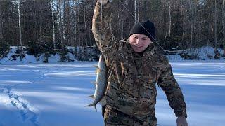 ОТПУСК ловим щуку 23.02.25