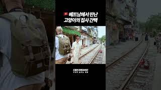  베트남에서 만난 고양이의 집사 간택 [베트남 VLOG] #travel #korean #여행브이로그 #브이로그 #여행유튜버 #해외여행 #베트남 #하노이