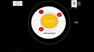 AROI WB Clinical Oncology : Gastrointestinal Malignancy