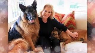 Biggest Dogs in The World - Largest Dogs - Giant Dogs 2018