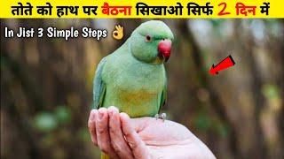 How to Tame Your Parrot Easily | HINDI