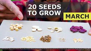 20 Seeds You MUST Grow in March