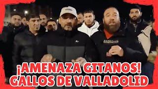 GITANOS DE VALLADOLID AMENAZAN A LOS LADRONES DE SUS GALLOS