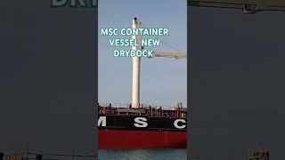 MSC CONTAINER SHIP NEW DRYDOCK IN PALUMBO SHIPYARD