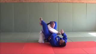 100 Really Cool Newaza techniques by Shak