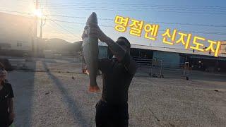 물 반 고기 반!! 추석 명절 신지도 투망 여행 #투망#신지도#힐링