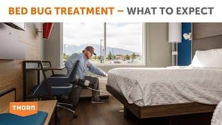 What to Expect with a Bed Bug Treatment