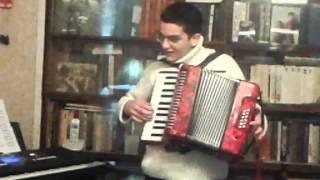 Sandro Nebieridze plays on accordion