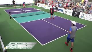 World Pickleball Championship - Day 2 - Center Court - Men's Doubles Pro