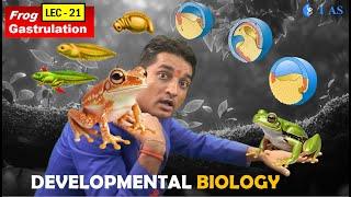 CSIR NET JUNE 2025 I Developmental Biology I Lecture 21 I Frog Gastrulation Development I IFAS I