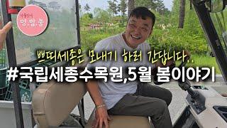 국립세종수목원 5월 풍경 #수목원야간개장 #식물원야간개장 #멍밥풀세종수목원