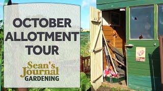 Cottage Garden Allotment: October Tour