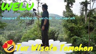 ( Travel vlog ) Spot Fotografi landscape wisata alam welu woloan Tomohon