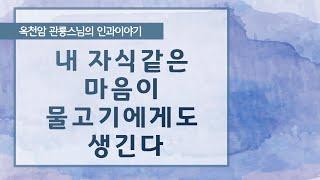 내 자식같은 마음이 물고기에게도 생긴다 [옥천암 관룡스님의 인과이야기]