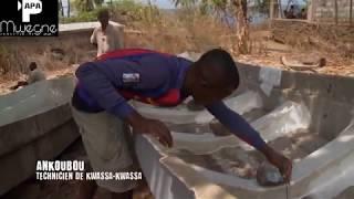 Mayotte - Anjouan "Kwassa Kwassa, Un Business Pirate"