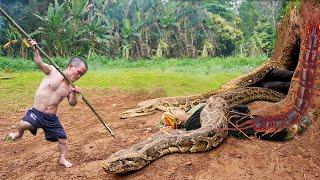 Dwarf family Primitive Life: Harvesting Ant Eggs Meet Giant Pythons and Ancient Poisonous Centipedes