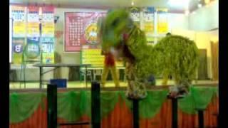 Lion Dance Leyte Progressive HS ALUMNI