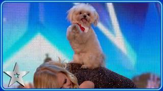 PERFORMING DOG Trip Hazard wins Judges HEARTS | Unforgettable Audition | Britain's Got Talent