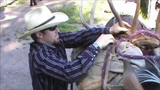 packing an elk rack with the hind quarters of an elk